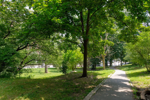 Ewen Park photo 2